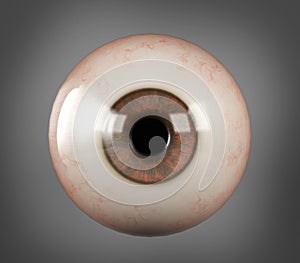 Realistic human eyeball brown iris pupil photo