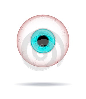 Realistic human eyeball. Eyeball with blue iris photo realistic vector.