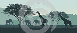 Realistic illustration of African landscape and safari. Elephant with giraffe on savanna among trees on clear summer day under