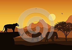 Realistic illustration of African safari with mountain landscape and trees, lion and elephant. Giraffe and flying bird. Under the