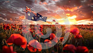 Realistic illustration for anzac day with the scene of a australian flag and field of red poppies