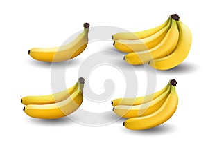 Realistic illustration bananas, 3d vector icons. Banana isolated on white background, banana icon