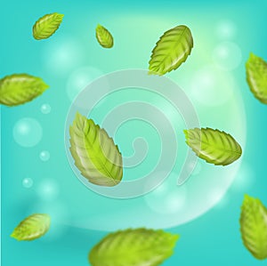 Realistic illustration fresh mint leaves vector