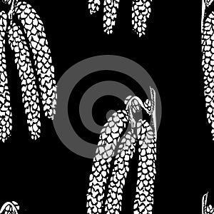 Realistic illustration of hazelnuts. Set of graphic hazelnuts elements, hand painted isolated on a white background.