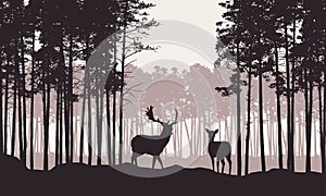 Realistic illustration of landscape with coniferous forest and morning retro sky. Deer and doe with antlers standing. Suitable as