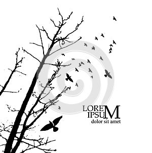 Realistic illustration with silhouettes of three birds - crows or ravens sitting on tree branch without leaves and