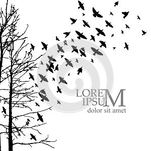 Realistic illustration with silhouettes of three birds - crows or ravens sitting on tree branch without leaves and