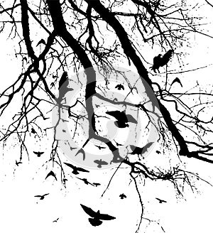 Realistic illustration with silhouettes of three birds - crows or ravens sitting on tree branch without leaves and