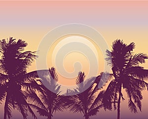Realistic illustration of sunset over sea or ocean with palm trees. Orange, pink and yellow sky and space for text, vector