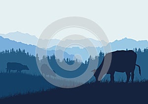 Realistic illustration with three silhouettes of cows on pasture, grass and forest, under blue sky, vector