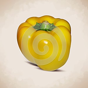 Realistic illustration of yellow pepper with a green pod