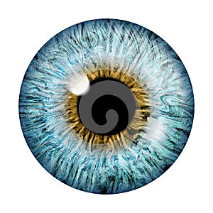 Realistic image of an eye. Iris, cornea, retina with luminous flash. Brown eye. 3d illustration