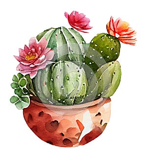 Realistic image of hand drawing watercolor cactus