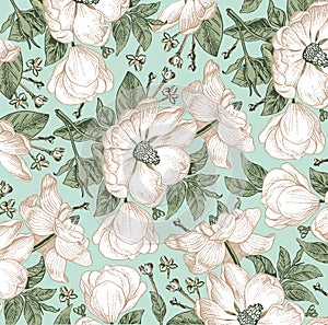 Realistic isolated flowers pattern. Vintage baroque background. Rose dogrose, rosehip, brier. Wallpaper. Drawing engraving. photo