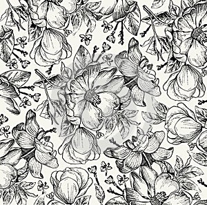 Realistic isolated flowers pattern. Vintage baroque background. Rose dogrose, rosehip, brier. Wallpaper. Drawing engraving.