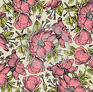 Realistic isolated flowers pattern. Vintage baroque background. Rose dogrose, rosehip, brier. Wallpaper. Drawing engraving. photo