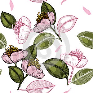 Realistic isolated seamless flower pattern. Vintage background.