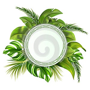 Realistic jungle round frame background