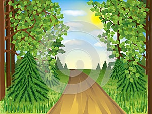 Realistic landscape - spring or summer forest