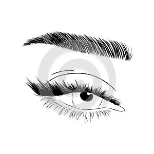 Realistic lashes on white background. Female open eyes and brows. Lamination and extension eyelashes. Beauty studio logo