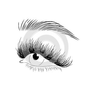 Realistic lashes on white background. Female open eyes and brows. Lamination and extension eyelashes. Beauty studio logo