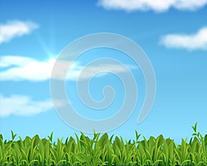 Realistic lawn and sky. 3D spring grass background with sun and clouds. Vector banner for business presentation and