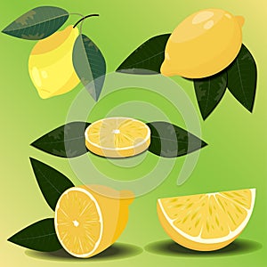Realistic lemon in different angles on a green background. Vector set