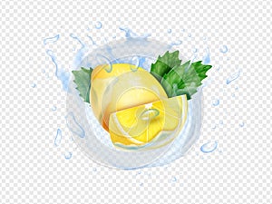 Realistic lemon, whole and half, mint in water splash. Fresh ice tea drop, green leaf, fresh lime fruit mojito waves