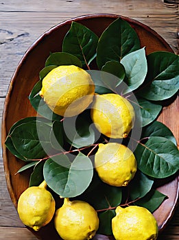 Realistic lemons and leaves neutral color palette