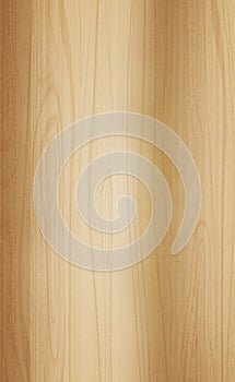Realistic light wood pattern texture, background - Vector