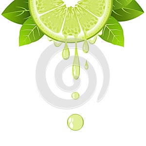 Realistic lime slice with juice drops. Juicy fruit. Fresh citrus on white vector illustration