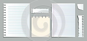 Realistic lined notepapers