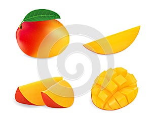 Realistic mango vector illustration set