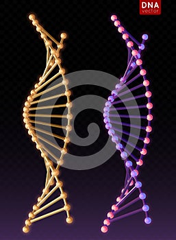 Realistic metal Vector DNA structure molecule helix, spiral on blure background