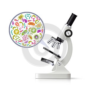 .Realistic Microscope With Magnified Specimen Image