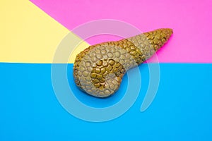 Realistic model of human pancreas gland in the middle of colorful background with pink, yellow and blue.