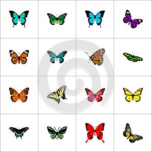 Realistic Monarch, Butterfly, Tropical Moth And Other Vector Elements. Set Of Moth Realistic Symbols Also Includes