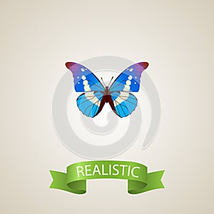 Realistic Morpho Aega Element. Vector Illustration Of Realistic Bluewing Isolated On Clean Background. Can Be Used As photo