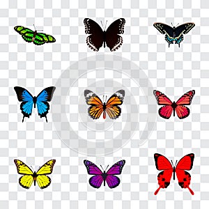 Realistic Morpho Hecuba, Monarch, Common Blue And Other Vector Elements. Set Of Butterfly Realistic Symbols Also photo
