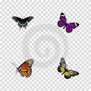 Realistic Morpho Hecuba, Summer Insect, Butterfly And Other Vector Elements. Set Of Moth Realistic Symbols Also Includes