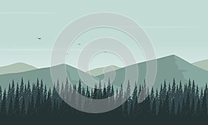 Realistic Mountain views with a panoramic pine trees silhouette. Vector illustration