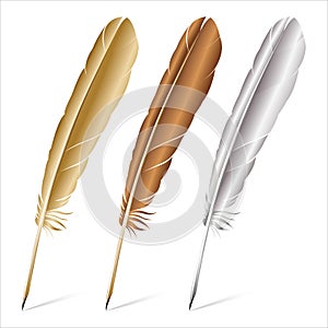 Realistic of multicolored feathers on a white background