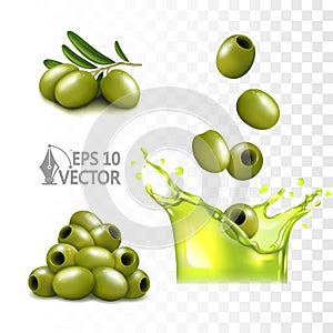 Realistic olive oil splash, fresh olive branch, natural product, 3d vector illustration