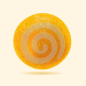 Realistic orange fruit illustration.