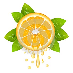 Realistic orange slice with leaves and drops of juice. Juicy fruit. Fresh citrus on white background vector illustration photo