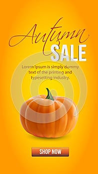 Realistic organic orange pumpkin isolated on orange background. Autumn sale. Vector illustration for nstagran stories