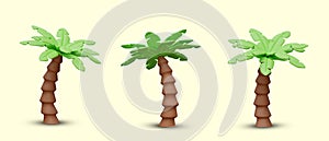 Realistic palm tree with green leaves. Detailed vector object, view from different sides