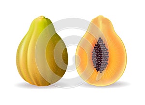 Realistic papaya isolated on white