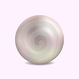 Realistic pearl  for luxury accessories. Decoration pearl logo for cosmetic, jewelry, jewelry shop on white background. vector
