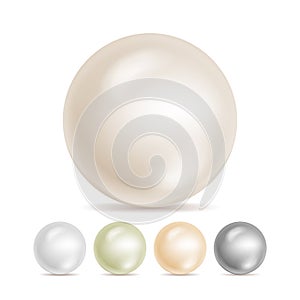 Realistic Pearls Isolated Vector. Set 3d Shiny Oyster Pearl Ball For Luxury Accessories. Sphere Shiny Sea Pearl Illustration